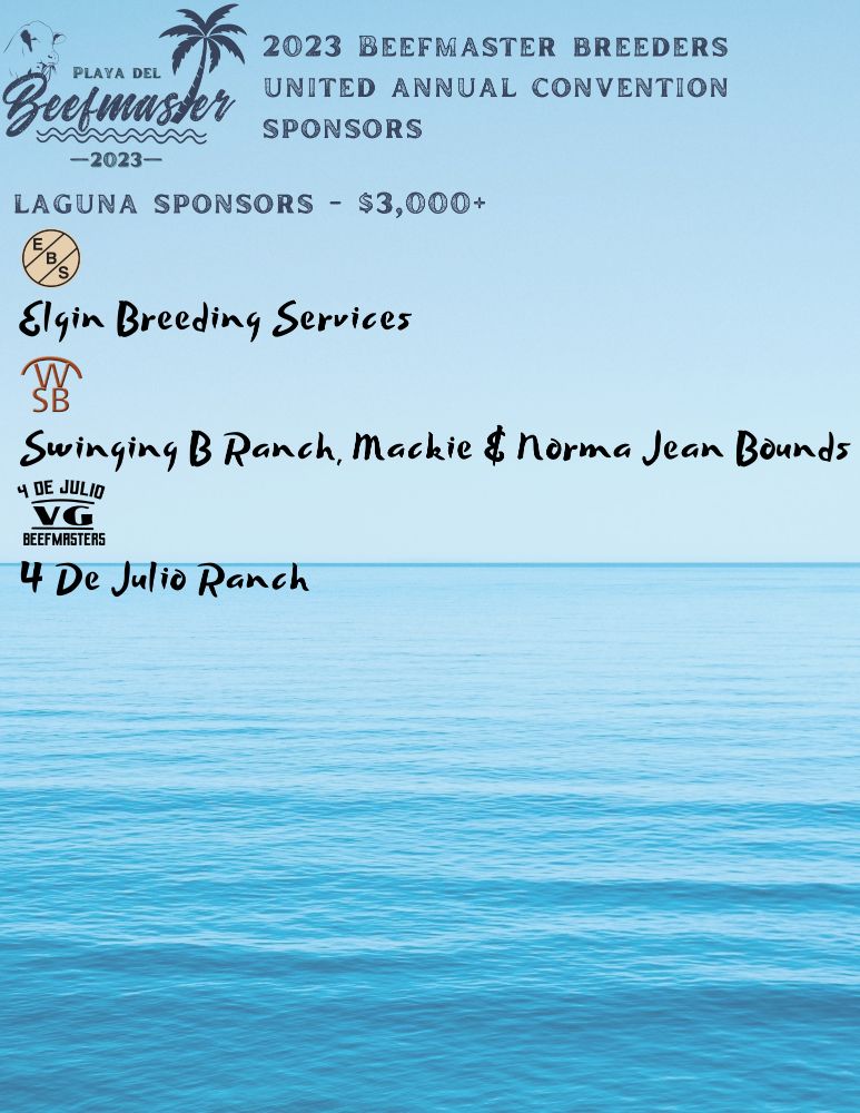 Laguna Sponsors